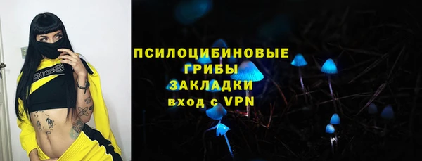 дурь Балахна