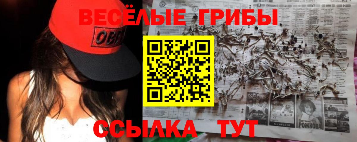 APVP Бутурлиновка